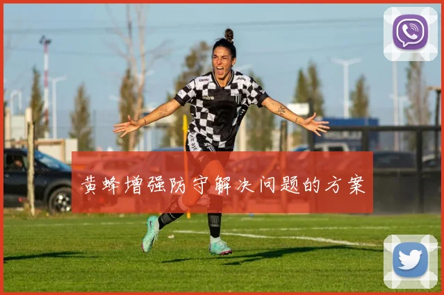 黄蜂增强防守解决问题的方案