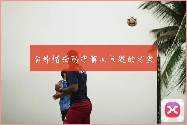 黄蜂增强防守解决问题的方案