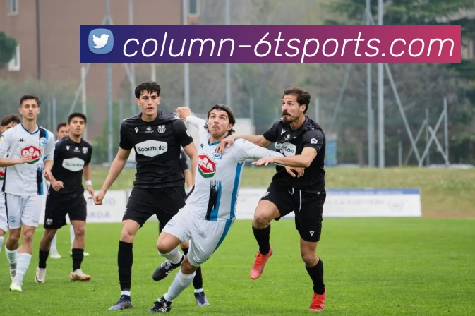 6T体育平台生态图